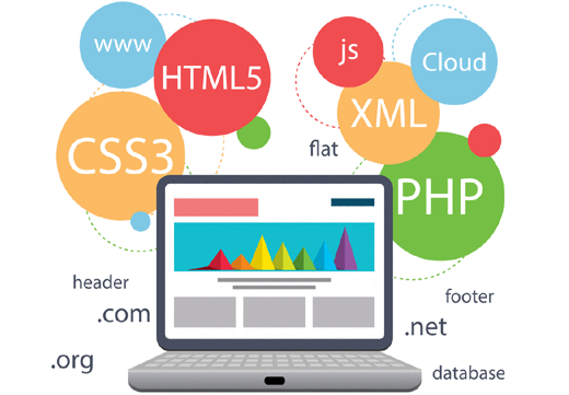 website development company in indore India 3983